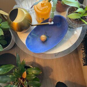 DINOSAUR DESIGNS Seed Swirled Resin Bowl in Blue Brand New NWT